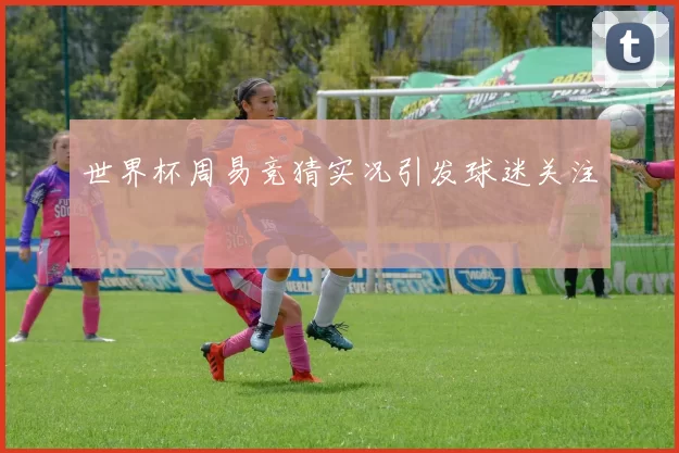 世界杯周易竞猜实况引发球迷关注