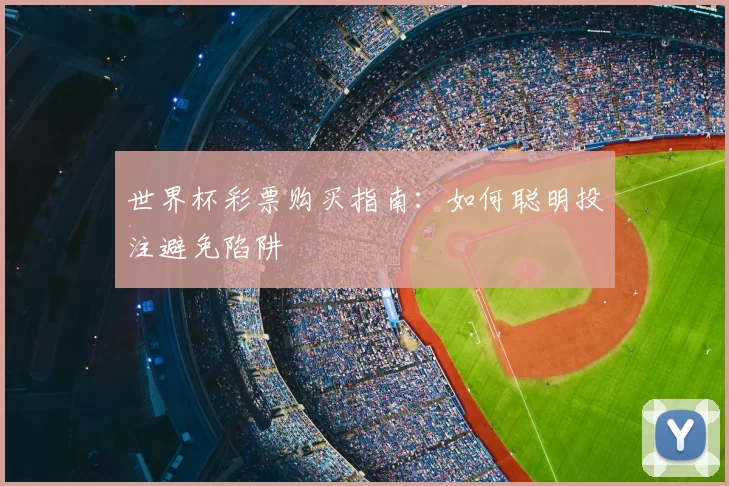 世界杯彩票购买指南：如何聪明投注避免陷阱