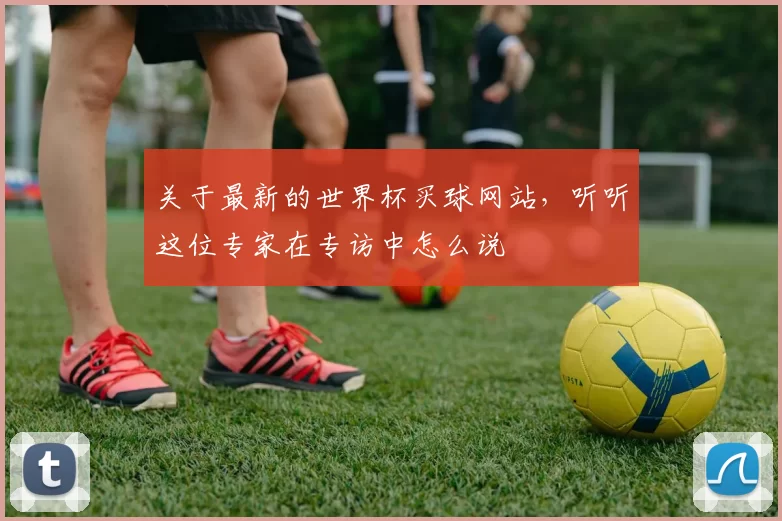 关于最新的世界杯买球网站，听听这位专家在专访中怎么说
