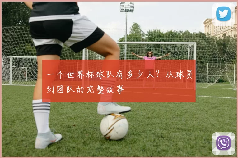 一个世界杯球队有多少人？从球员到团队的完整故事