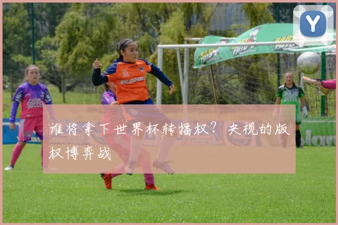谁将拿下世界杯转播权？央视的版权博弈战
