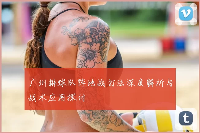 广州排球队阵地战打法深度解析与战术应用探讨