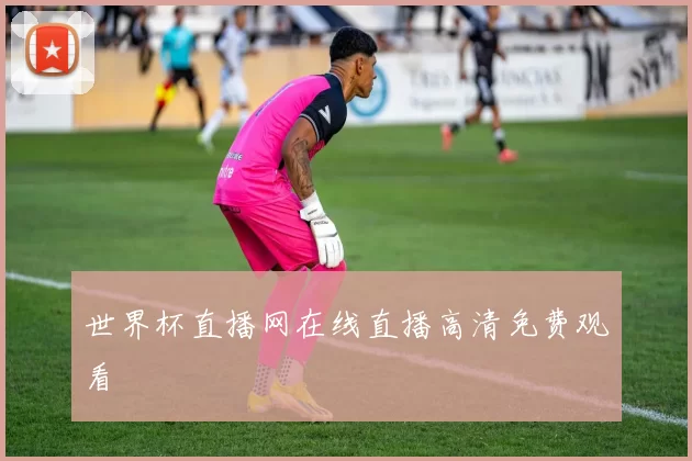 世界杯直播网在线直播高清免费观看